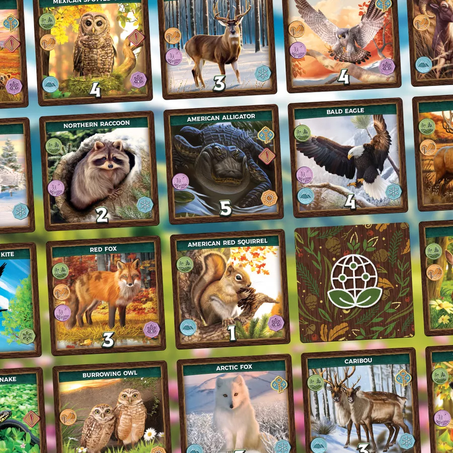 Keystone: North America sample animal cards