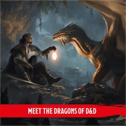 Dragon Delves info 1: Meet the Dragons of D&D