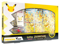 Pikachu V-UNION box