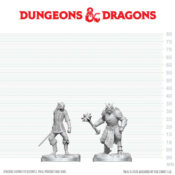 Dragonborn Paladin & Dragonborn Squire • WZK90908