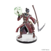 Pathfinder Battles: Armies of the Dead — Deathless Acolyte