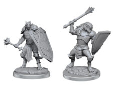 Dragonborn Clerics (WZK90522)